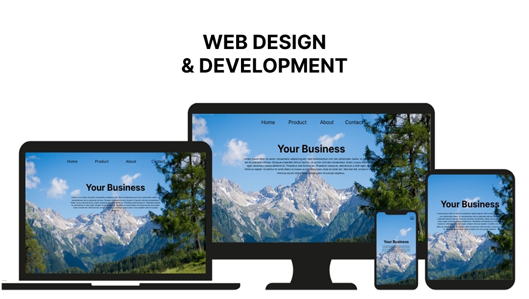 web design and development service
